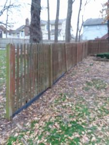 Fence -  Before
